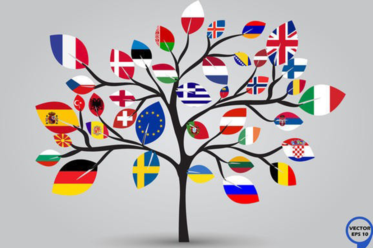 Successfully selling your medical devices among European cultures.